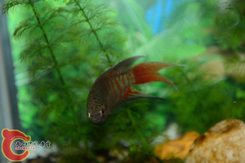 照片 216.jpg