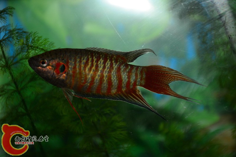 照片 217.jpg