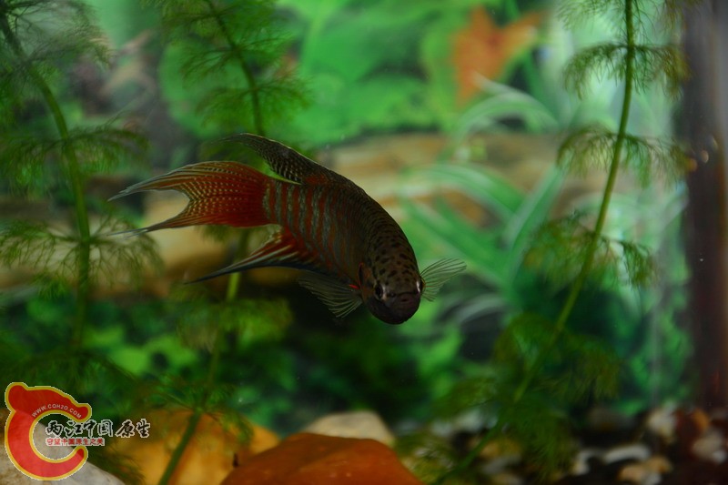照片 221.jpg