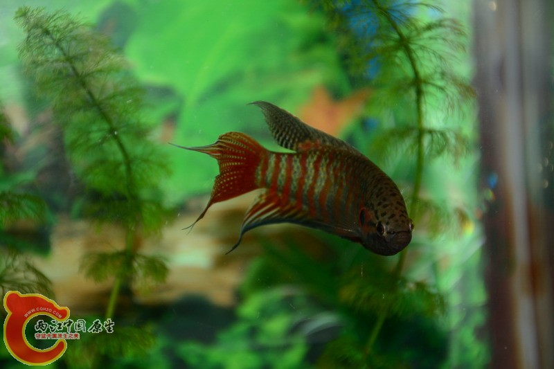 照片 272.jpg