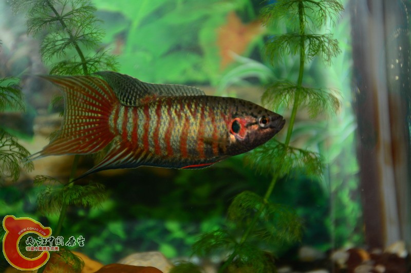 照片 273.jpg