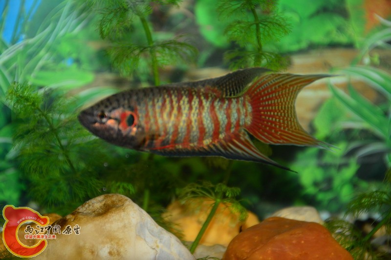 照片 274.jpg