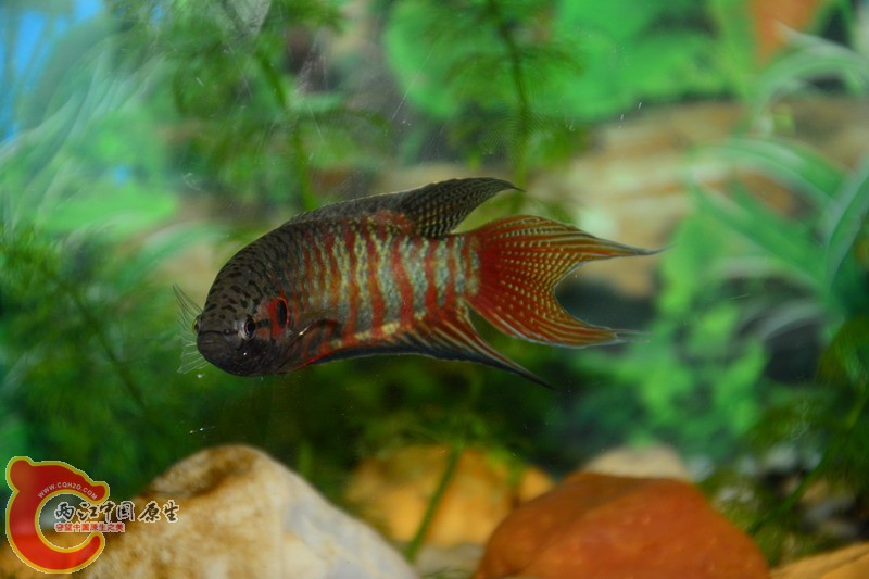 照片 275.jpg