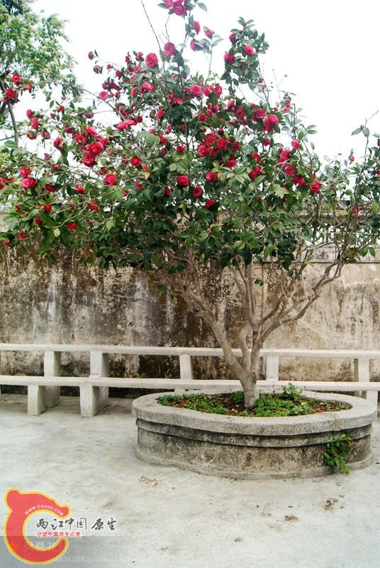 08.jpg