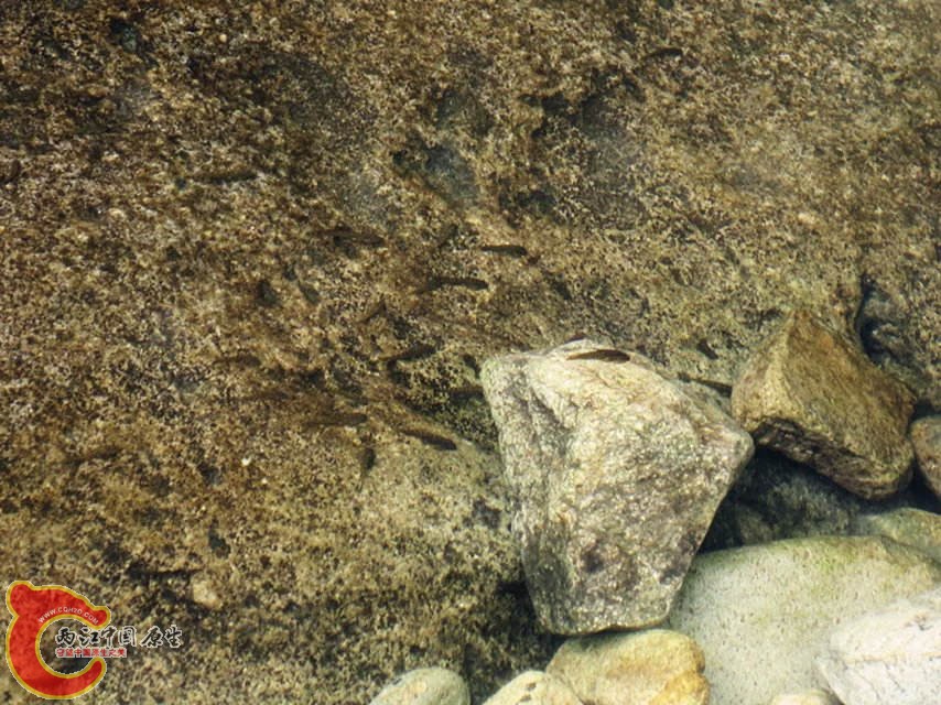 07.jpg