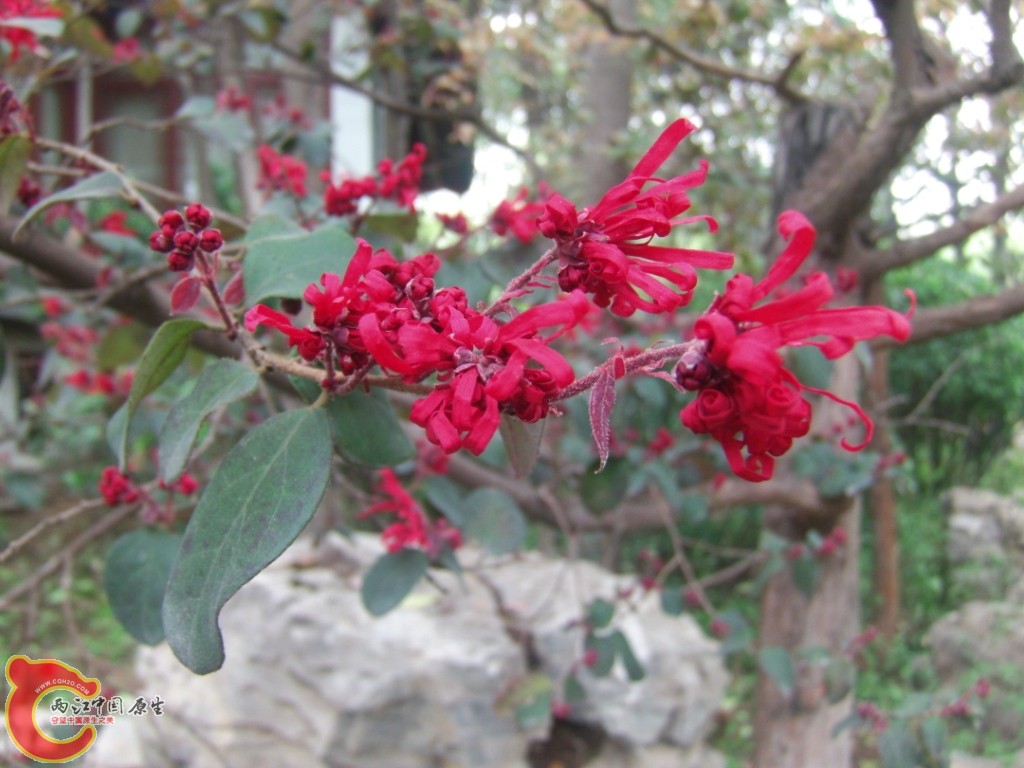 GEDC0111.JPG