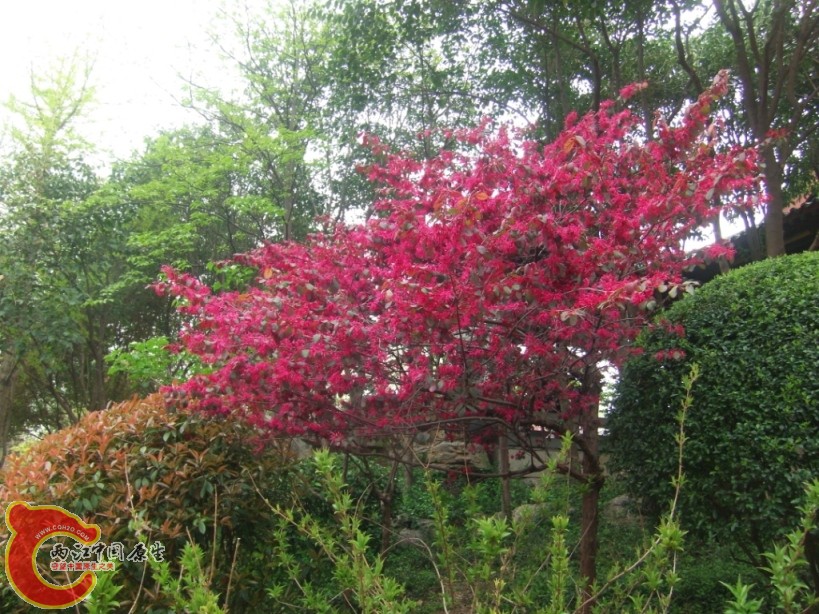 GEDC0114.JPG