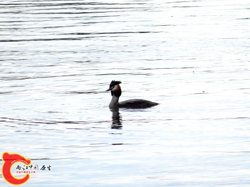 DSC00276_副本.jpg