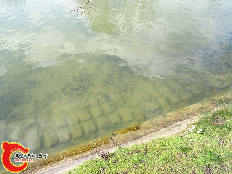 DSC00293_副本.jpg