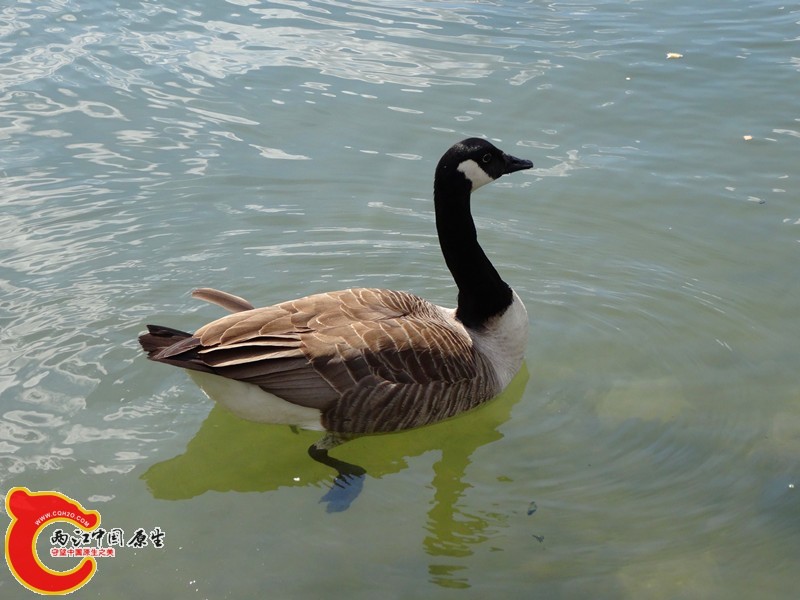 DSC00425_副本.jpg