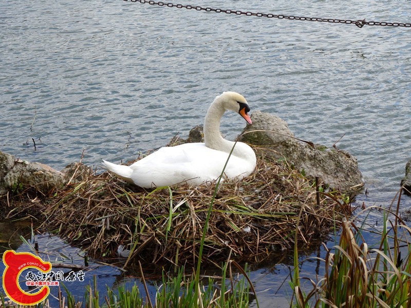 DSC00433_副本.jpg