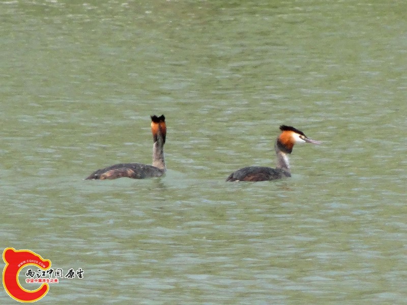 DSC00440_副本.jpg