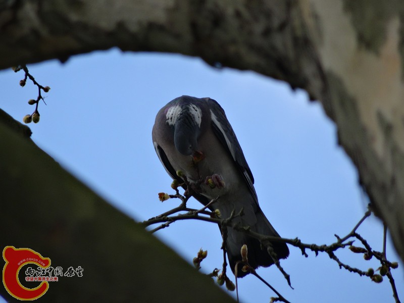 DSC00278_副本.jpg