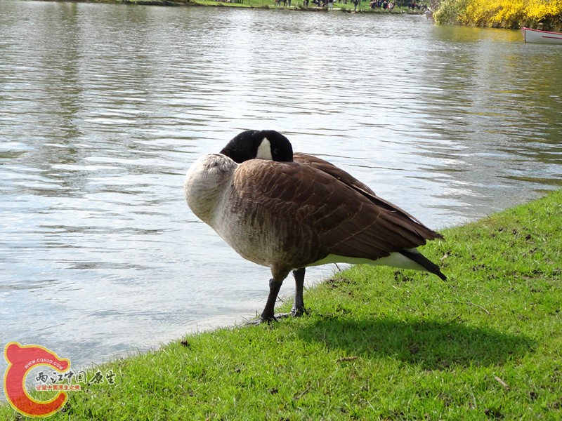 DSC00465_副本.jpg