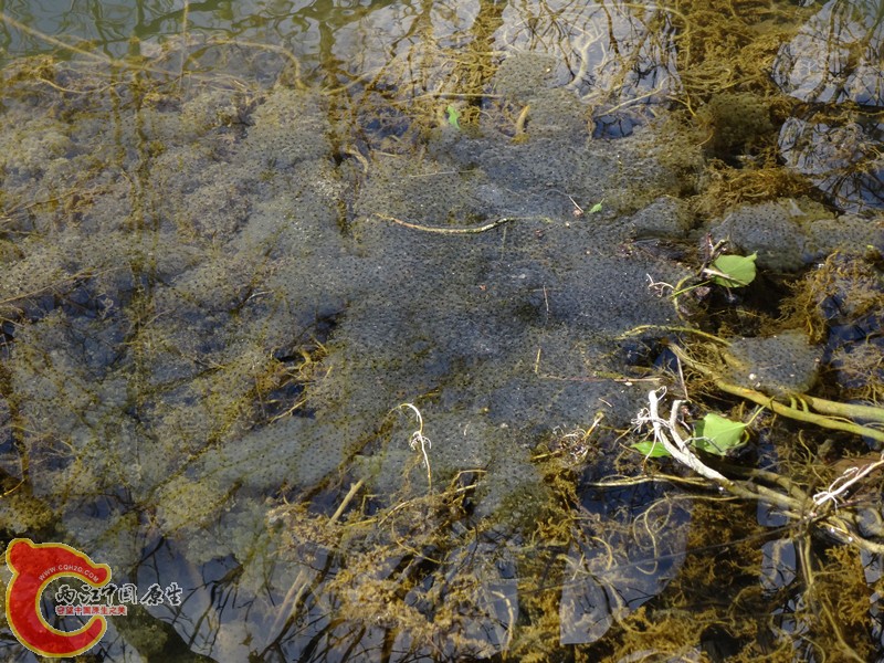 DSC00323_副本.jpg