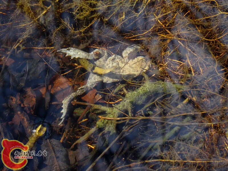 DSC00324_副本.jpg
