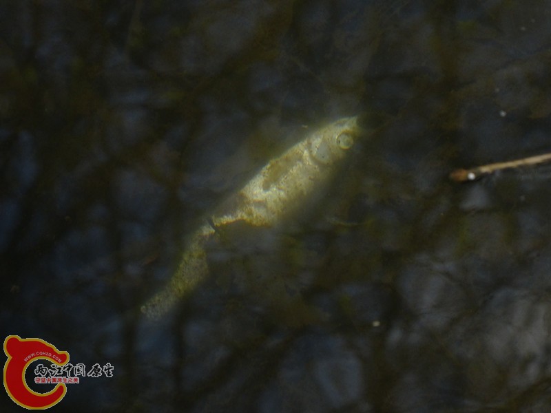 DSC00375_副本.jpg
