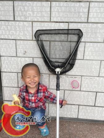小伙伴凑热闹