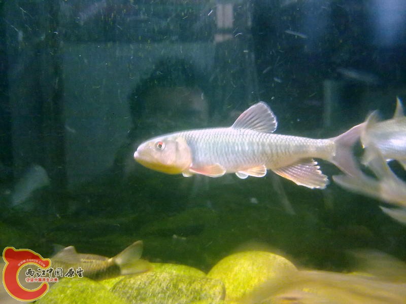 201504033986.jpg