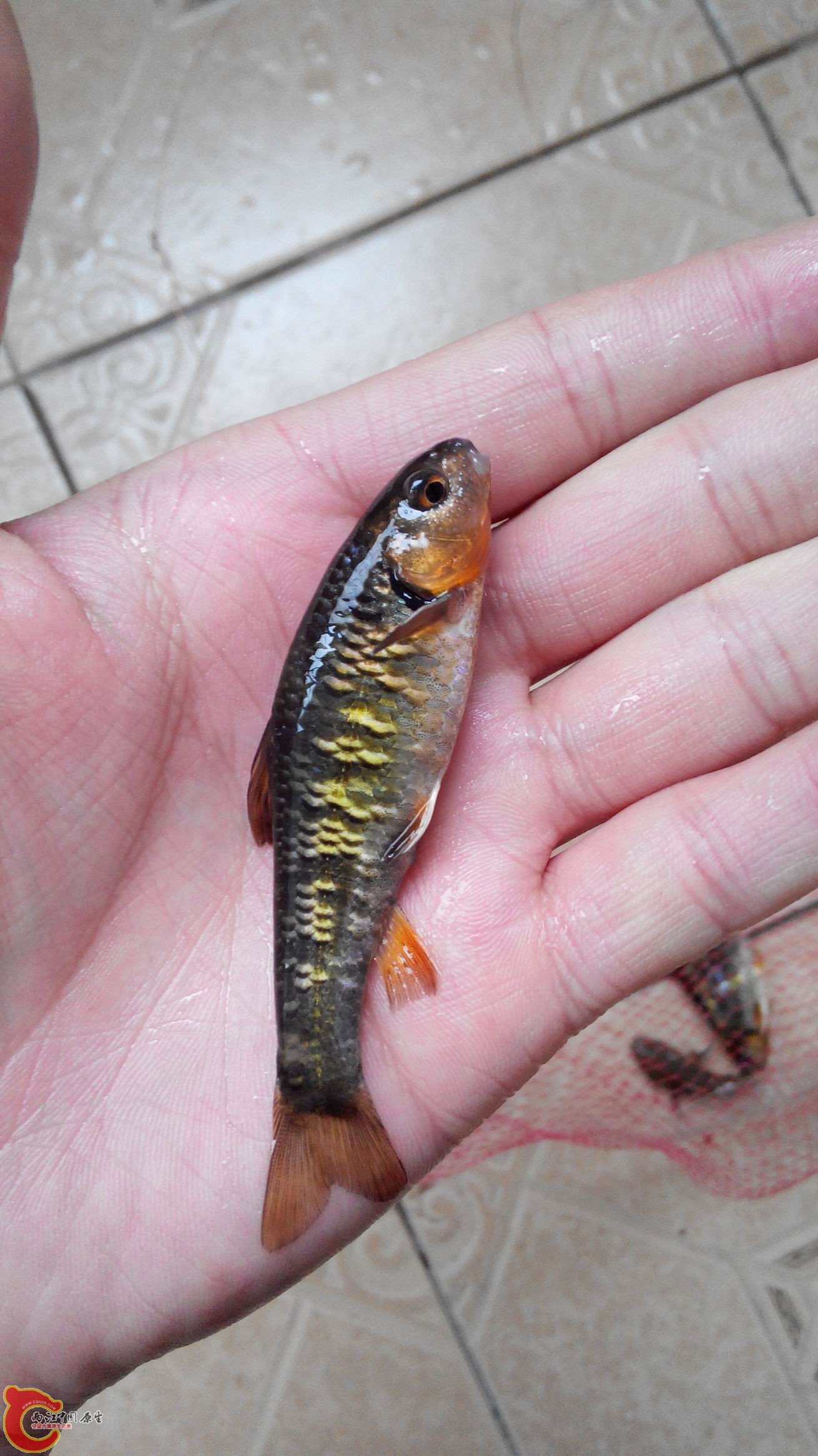2015405174925.jpg