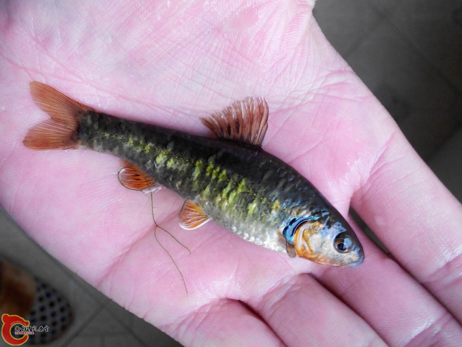 2015405175759-1.jpg