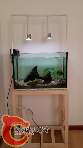 20150408_150406.jpg