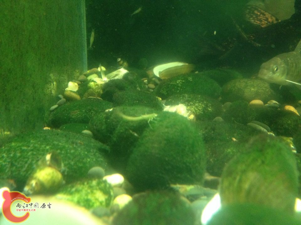 QQ图片20150410095325.jpg