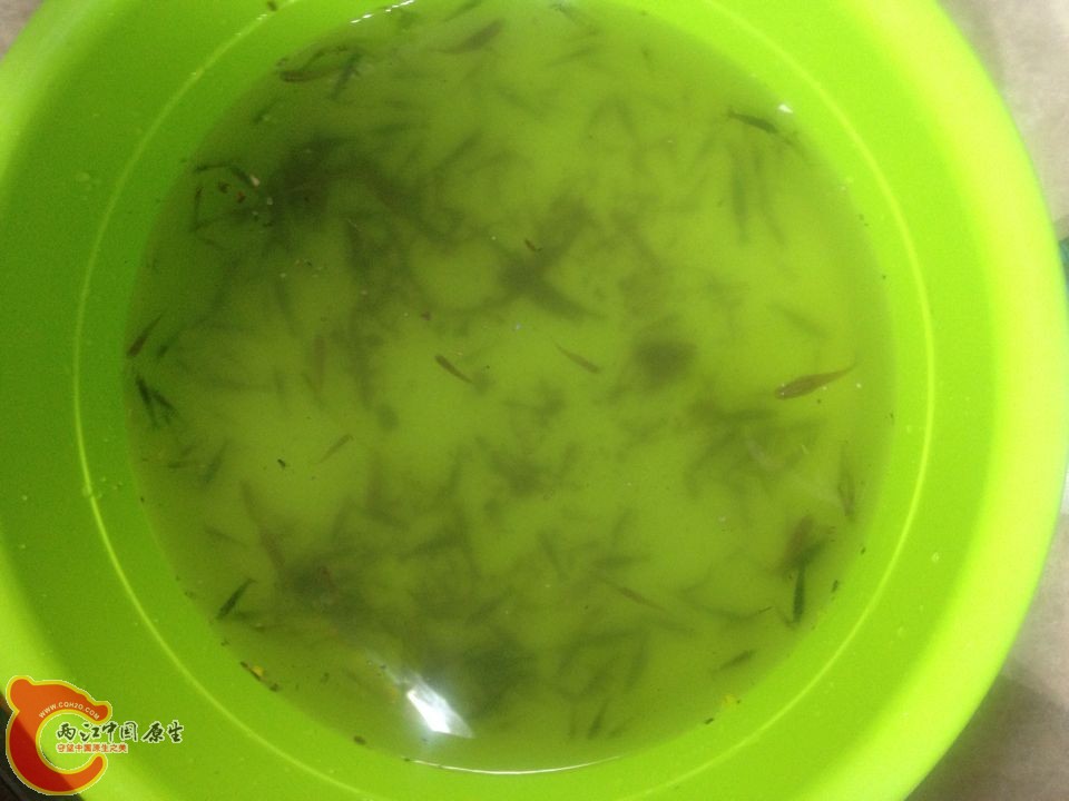 QQ图片20150410095333.jpg