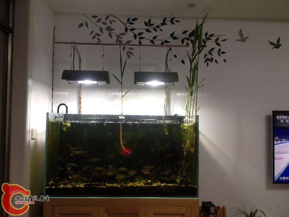 QQ图片20150410095413.jpg
