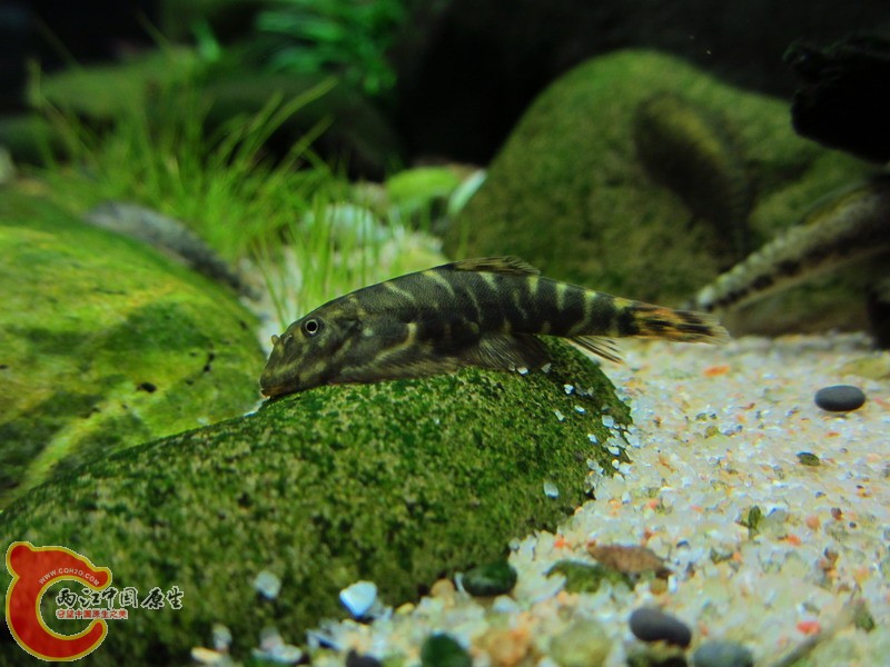 IMG_8670_缩小大小.jpg
