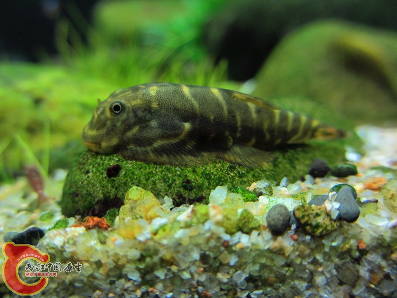 IMG_8676_缩小大小.jpg