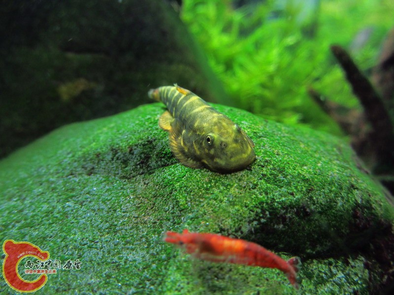 IMG_8687_缩小大小.jpg