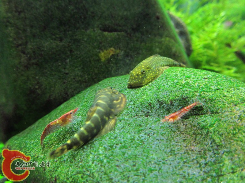 IMG_8696_缩小大小.jpg
