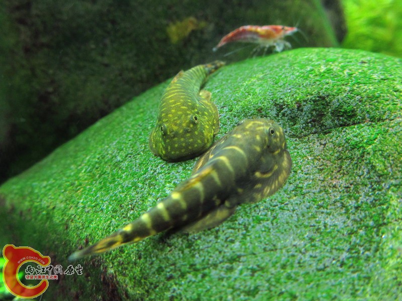 IMG_8697_缩小大小.jpg