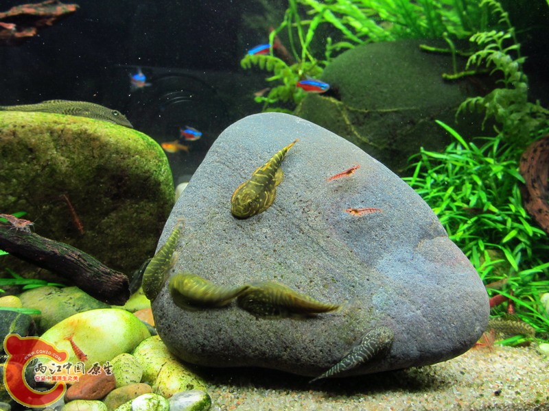 IMG_9030_缩小大小.jpg