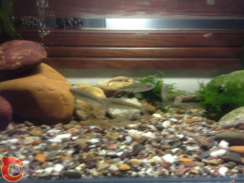 20150409100705243.jpg