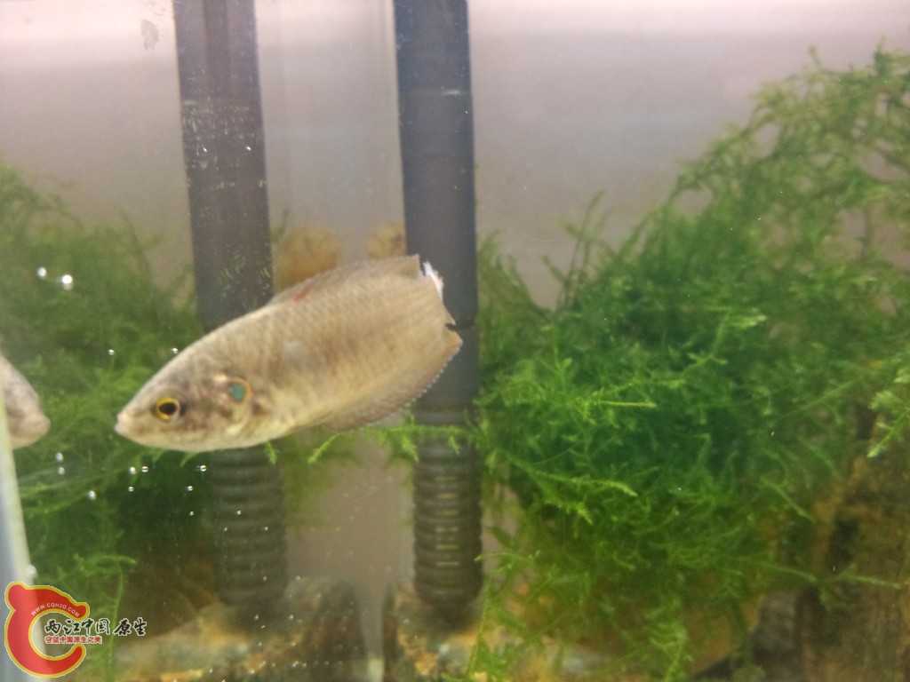 4月份 水还很凉