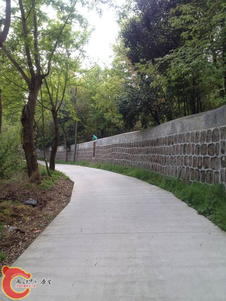 QQ图片20150415103418.jpg