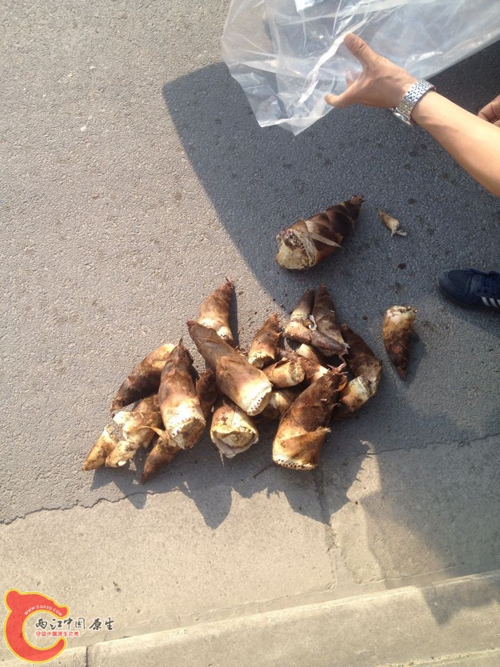 QQ图片20150415103430.jpg