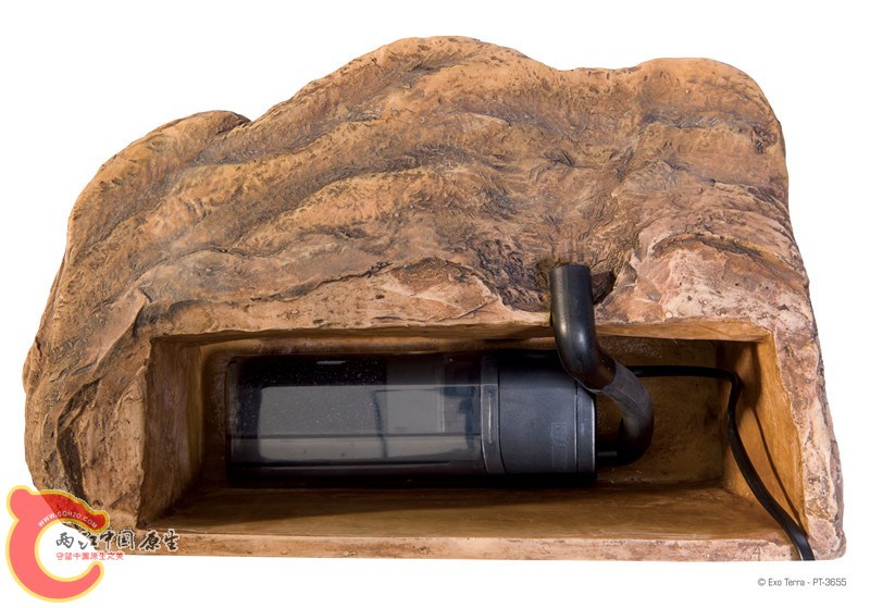 PT3655_Turtle_Cliff_3.jpg