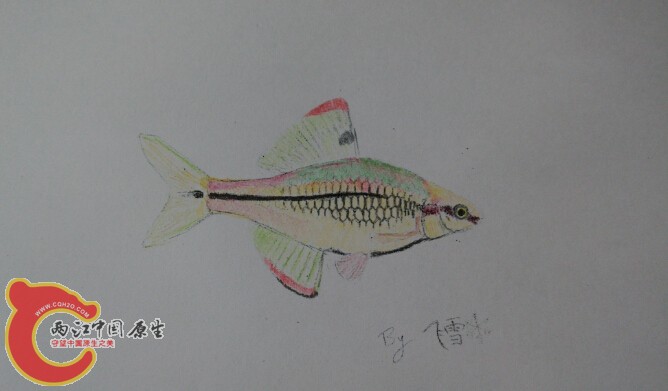 粗纹...重新打印之后上色，比较干净