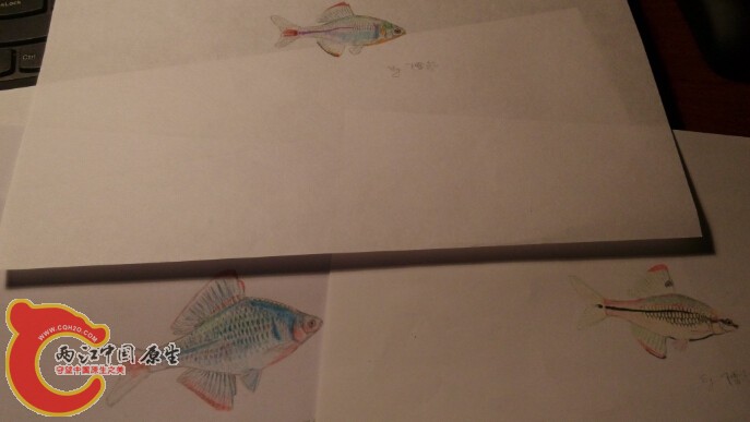 高体重画了N次，都不好，旁边有个彩石啥的。。。