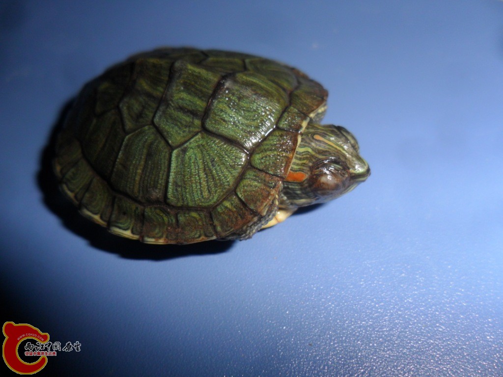 2015.04.16 (20).JPG