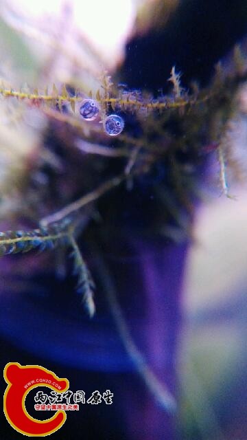 IMG_20150417_230226.jpg
