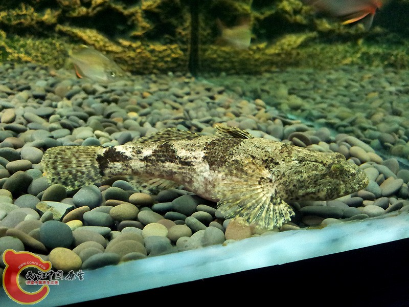 20150418_140741.jpg