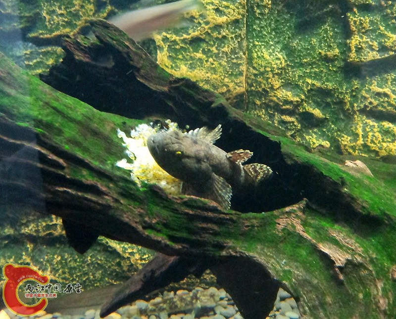 20150418_131210.jpg