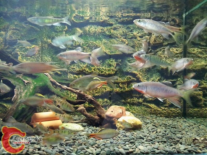 20150418_140821.jpg