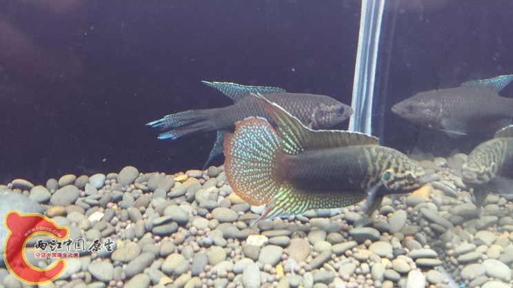 20150418_201941.jpg