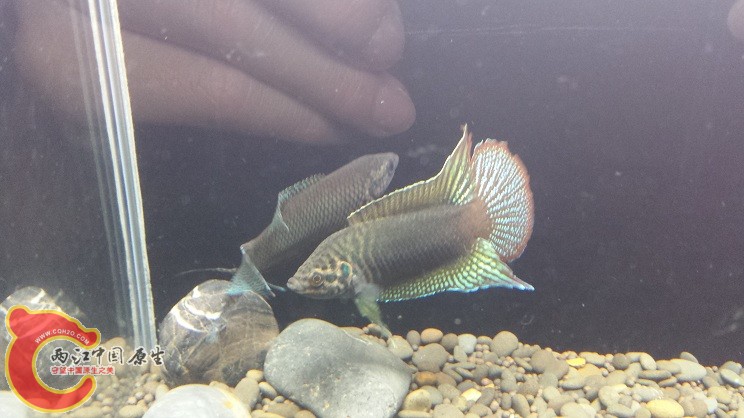 20150418_202230.jpg