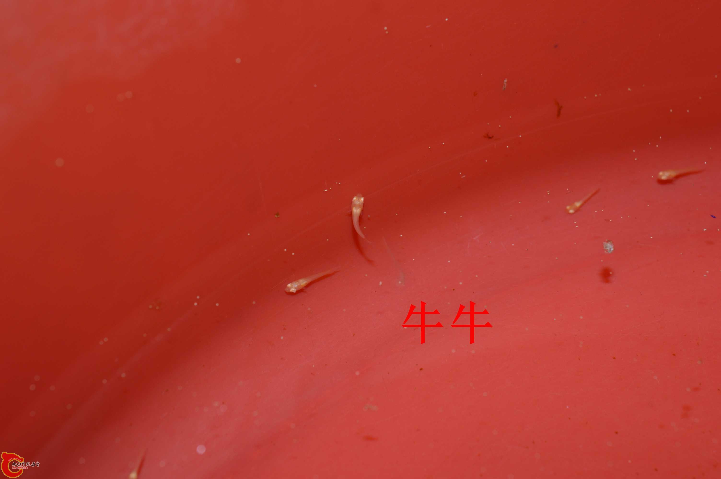 DSC_0004.jpg